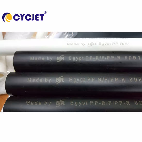 Macchina per marcatura laser Cycjet Lf30f per tubi in PVC/PPR/HDPE